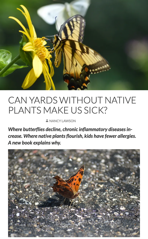 Can yards without native plants make us sick?